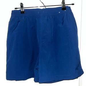 Chubbies Navy Swim Trunks w/ Rainbow Stripe